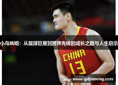 小鸟姚明：从篮球巨星到跨界先锋的成长之路与人生启示
