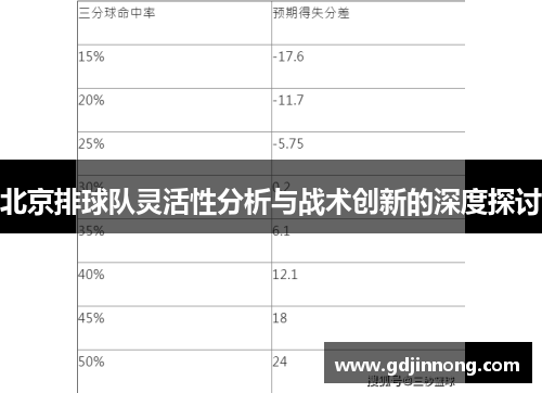 北京排球队灵活性分析与战术创新的深度探讨