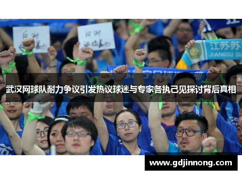 武汉网球队耐力争议引发热议球迷与专家各执己见探讨背后真相