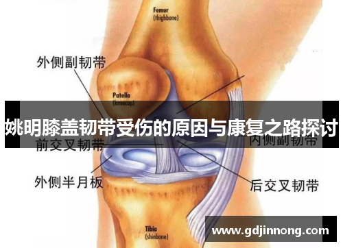 姚明膝盖韧带受伤的原因与康复之路探讨