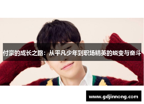 付豪的成长之路：从平凡少年到职场精英的蜕变与奋斗
